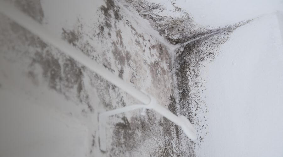 Why choose water damage restoration service for commercial flood cleanup in New York